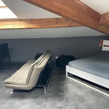 Studio7 Proche Fac Climatise Albi Buitenkant foto